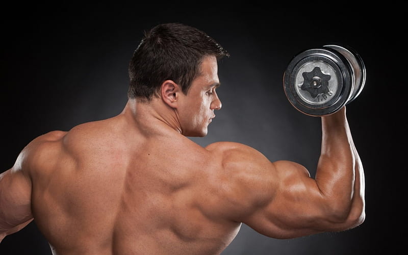 gym, muscular, black, shoulders, man, HD wallpaper