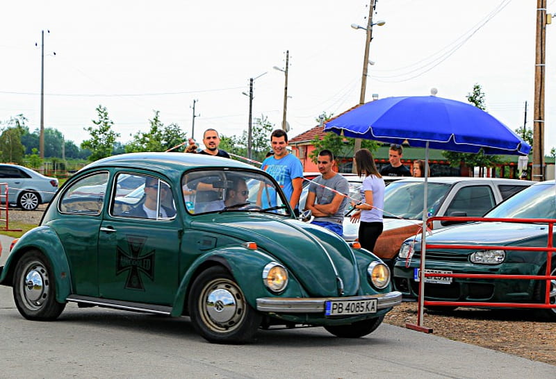 VW beetle, beetle, vag, meeting, vw, bulgaria, HD wallpaper
