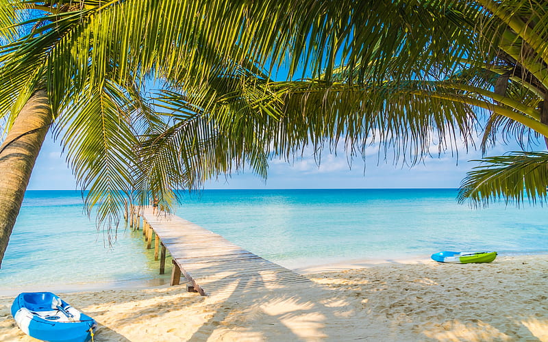 tropical island, palms, summer, wooden bridge, boats, beach, summer travels, HD wallpaper