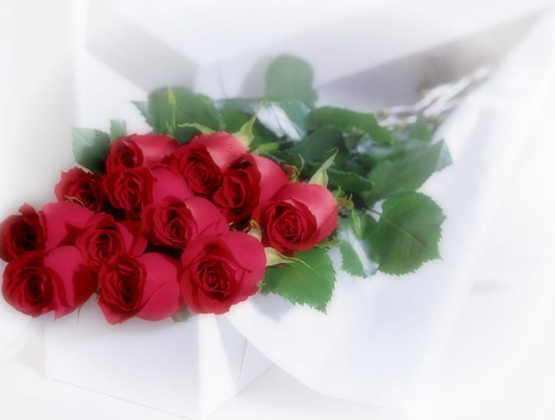 For You ONLY !, bonito, Roses, Red, For You, HD wallpaper