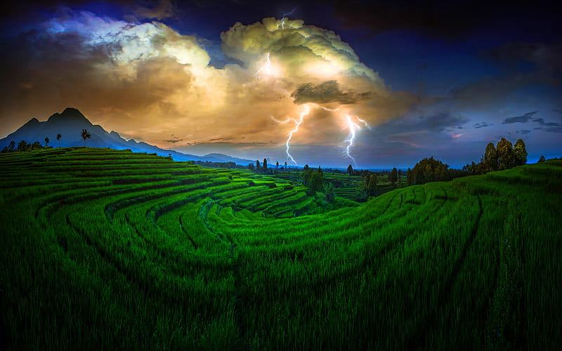 Indonesia rice fields, thunderstorm, lightning, hills, Asia, beautiful nature, HD wallpaper