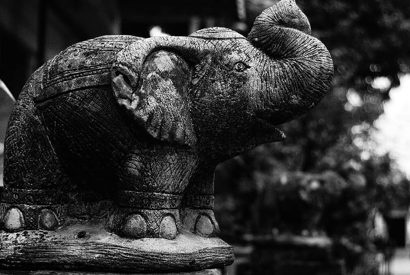 Statue in Chiang Mai, art, monument, statue, Elephant, HD wallpaper