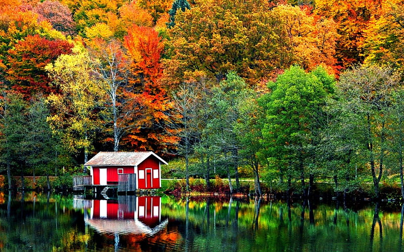 Autumn Colors, colorful, autumn, house, cottage, autumn leaves, cabin, bonito, leaves, splendor, autumn splendor, beauty, reflection, amazing, lovely, view, houses, colors, trees, lake, tree, water, peaceful, nature, landscape, HD wallpaper Autumn Colors, colorful, autumn, house, cottage, autumn leaves, cabin, bonito, leaves, splendor, autumn splendor, beauty, reflection, amazing, lovely, view, houses, colors, trees, lake, tree, water, peaceful, nature, landscape, HD wallpaper