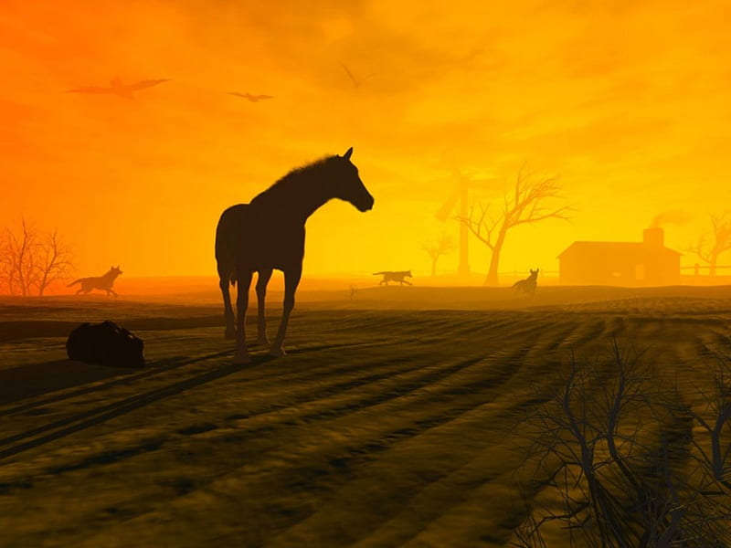 HD-wallpaper-horse-in-twilight-sunset-nature-sunlight-field.jpg