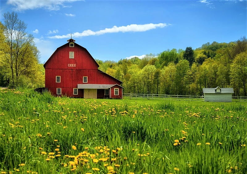 Barn, spring, sky, field, HD wallpaper