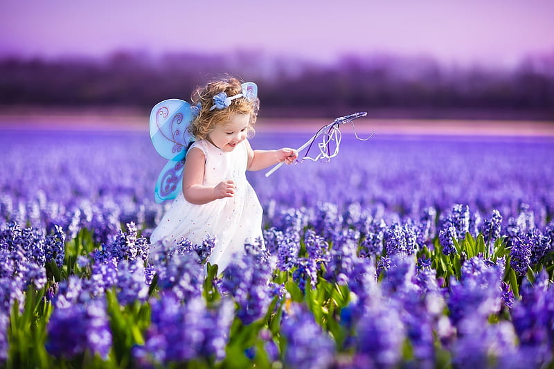 Little fairy, little, lavender, girl, summer, flower, copil, child, fairy, field, blue, HD wallpaper