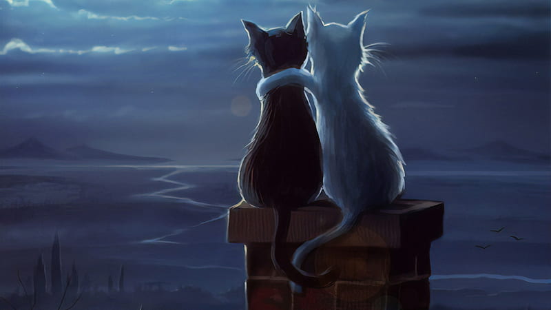 Two Cats On A Roof, cat, animals, love, cute, , artist, artwork, digital-art, HD wallpaper