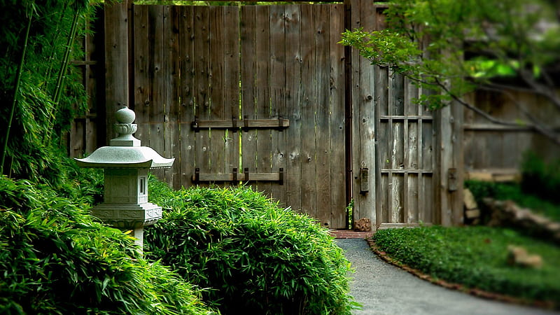 Green Garden With Wooden Gate Garden, HD wallpaper