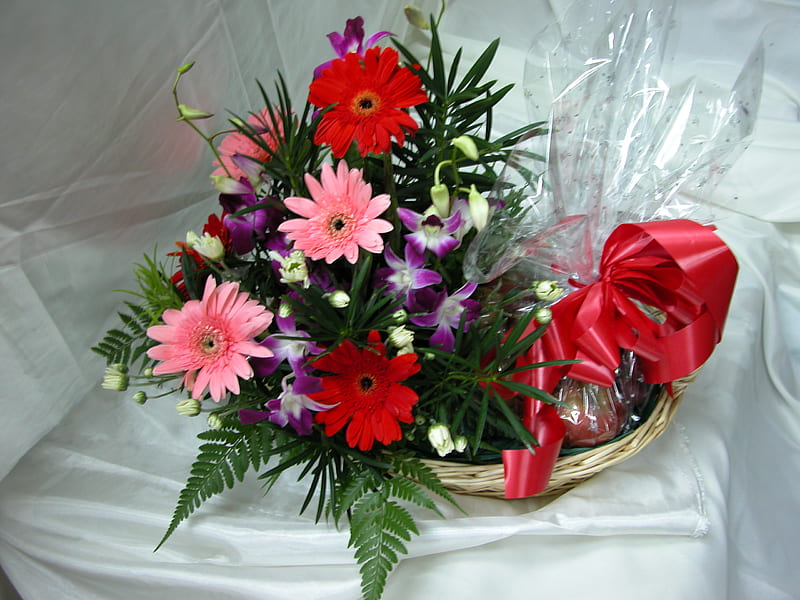 Gerberas and orchids, orchids, gerberas, fern leaves, bouquet, basket, red ribbon, flowers, HD wallpaper