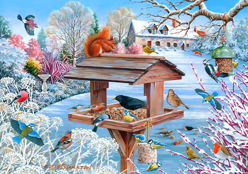 Crumbs of comfort, pretty, lovely, comfort, birds, bonito, fun, prety, winter, cold, snow, crumbs, birdhouse, animals, frost, HD wallpaper