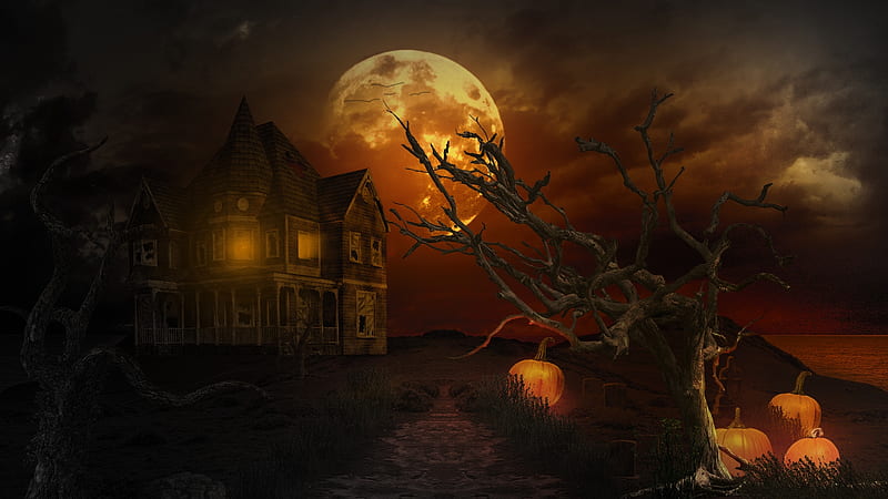 Halloween Night, moon, Halloween, spooky, night, HD wallpaper | Peakpx