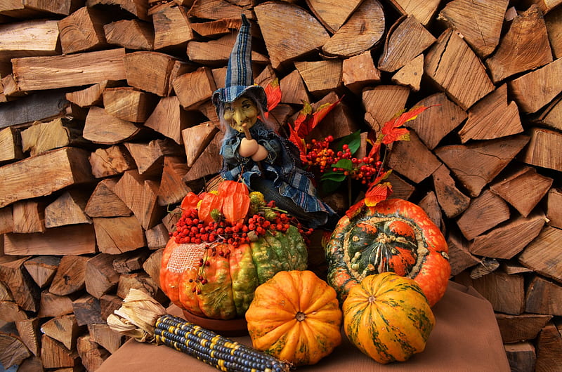 Halloween Witch, autumn, corn cob, wood, pumpkins, HD wallpaper