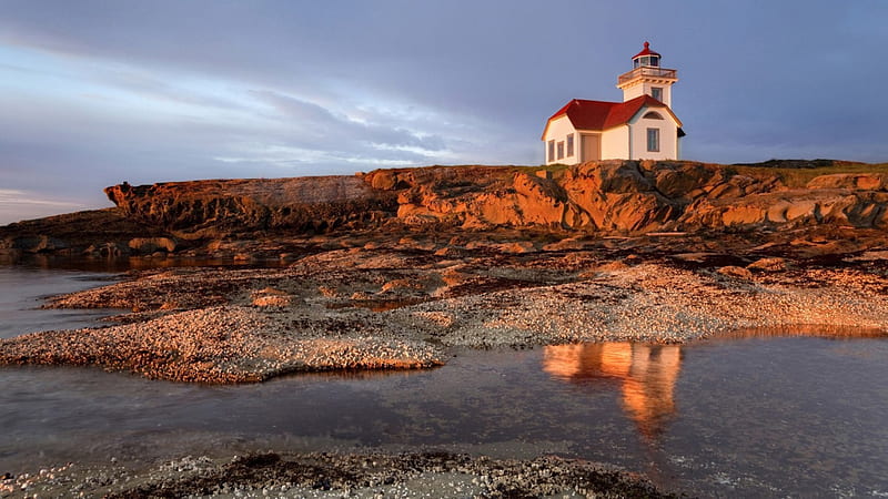 beautiful lighthouse on a seacoast, reflection, sea, coast, lighthouse, HD wallpaper