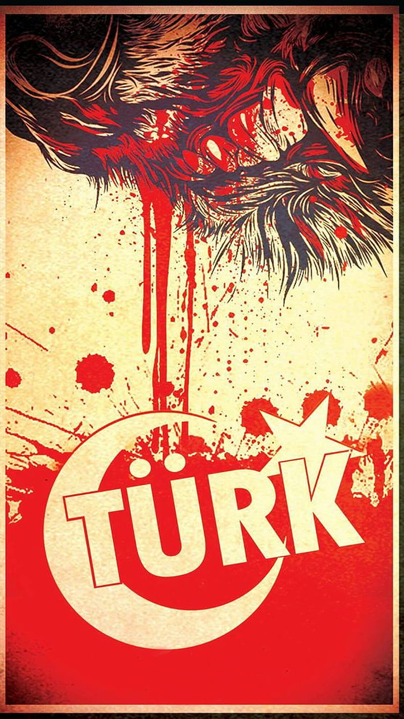 Turkun Gucu, turk, rte, turkiye, gucu, HD phone wallpaper