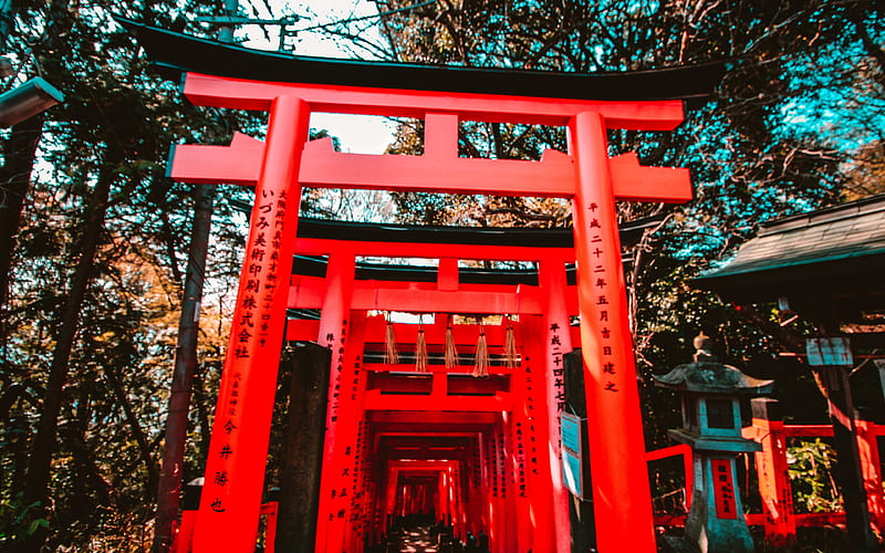 Torii Japanese gate, temple, japanese culture, japan, Asia, HD wallpaper
