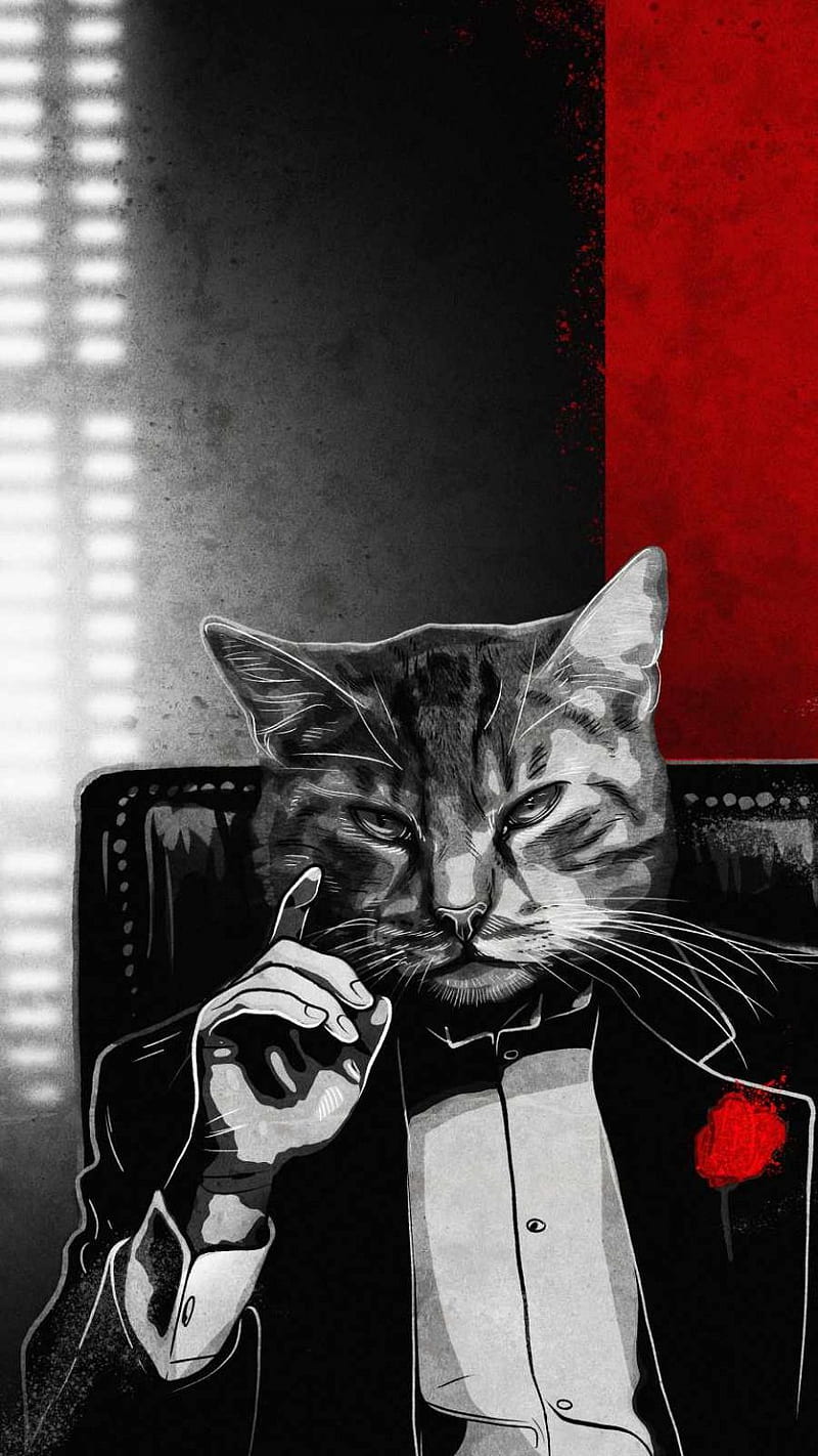 Godfather Cat, red, white, catfather, black, HD phone wallpaper