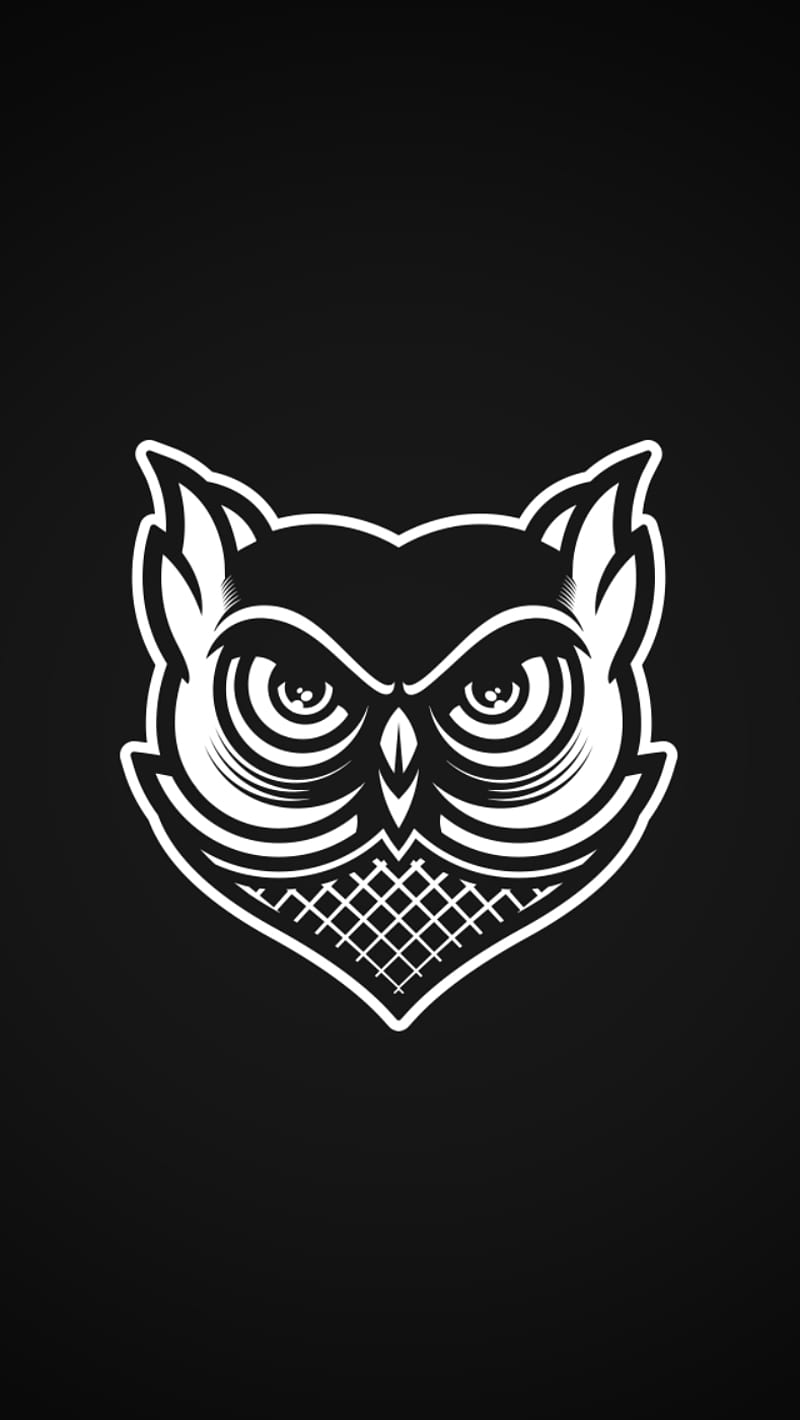 Owl, graphics, sowa, HD phone wallpaper