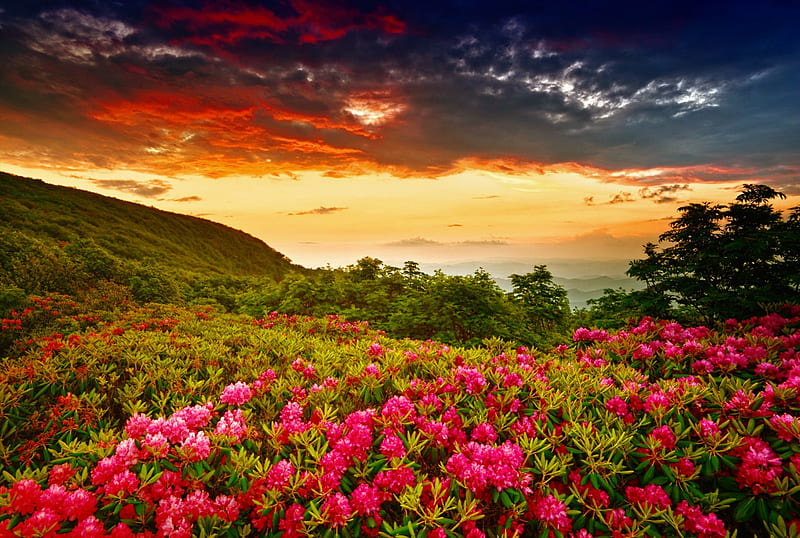 Mountain sunset, red, pretty, colorful, glow, orange, fiery, bonito ...