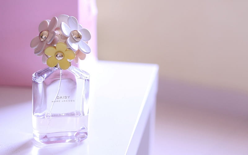 Daisy aroma, perfume, bottle, white, aroma, pink, daisy, HD wallpaper