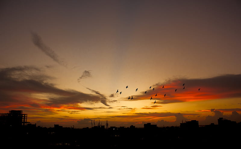 Beautiful Sunset, Bangladesh Ultra, Nature, Sun & Sky, bonito, Sunset, Silhouette, Birds, Dusk, bangladesh, HD wallpaper