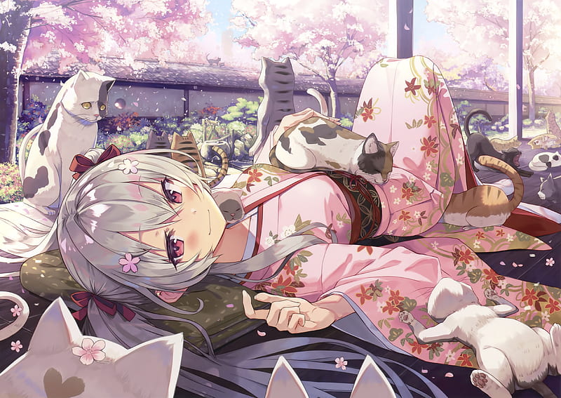 sakura blossom, kimono, beautiful anime girl, lying down, japanese house, twintails, cat, Anime, HD wallpaper