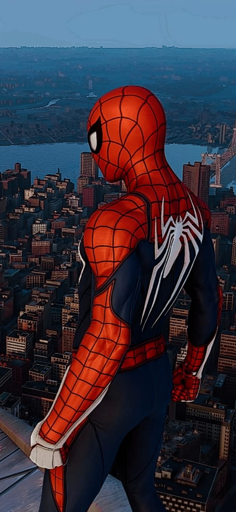 Spider Man, arana, hombre, ps4, ps5, spider-verse, spiderman, spidermanps4, verse, HD phone wallpaper