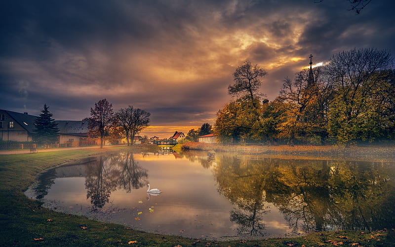 autumn, lake, village, white swan, sunset, HD wallpaper