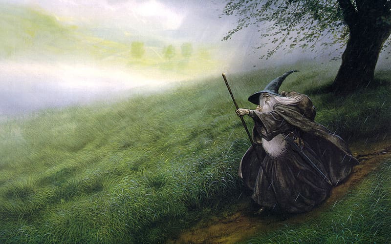 Fantasy, Grass, Rain, Lord Of The Rings, Hair, Hat, Wizard, The Lord Of The Rings, HD wallpaper