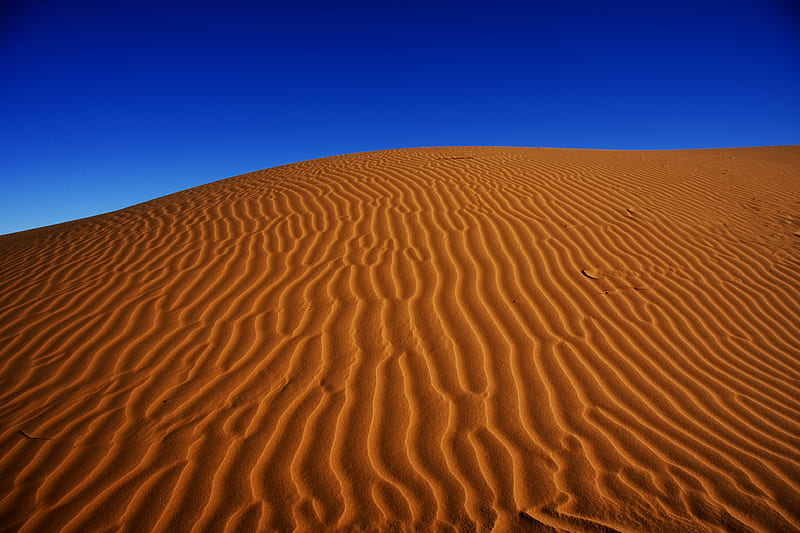 Sand Dunes , sand, dunes, nature, desert, HD wallpaper