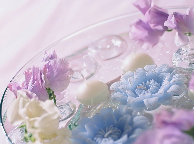 Candles with soft colors, colors, soft, drops, delicate, water, party, spa, flowers, pastel, pink, blue, HD wallpaper