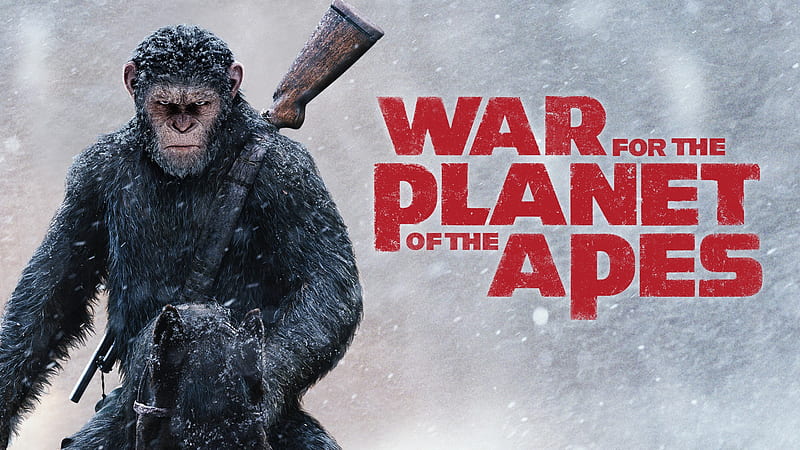 Movie, War For The Planet Of The Apes, HD wallpaper