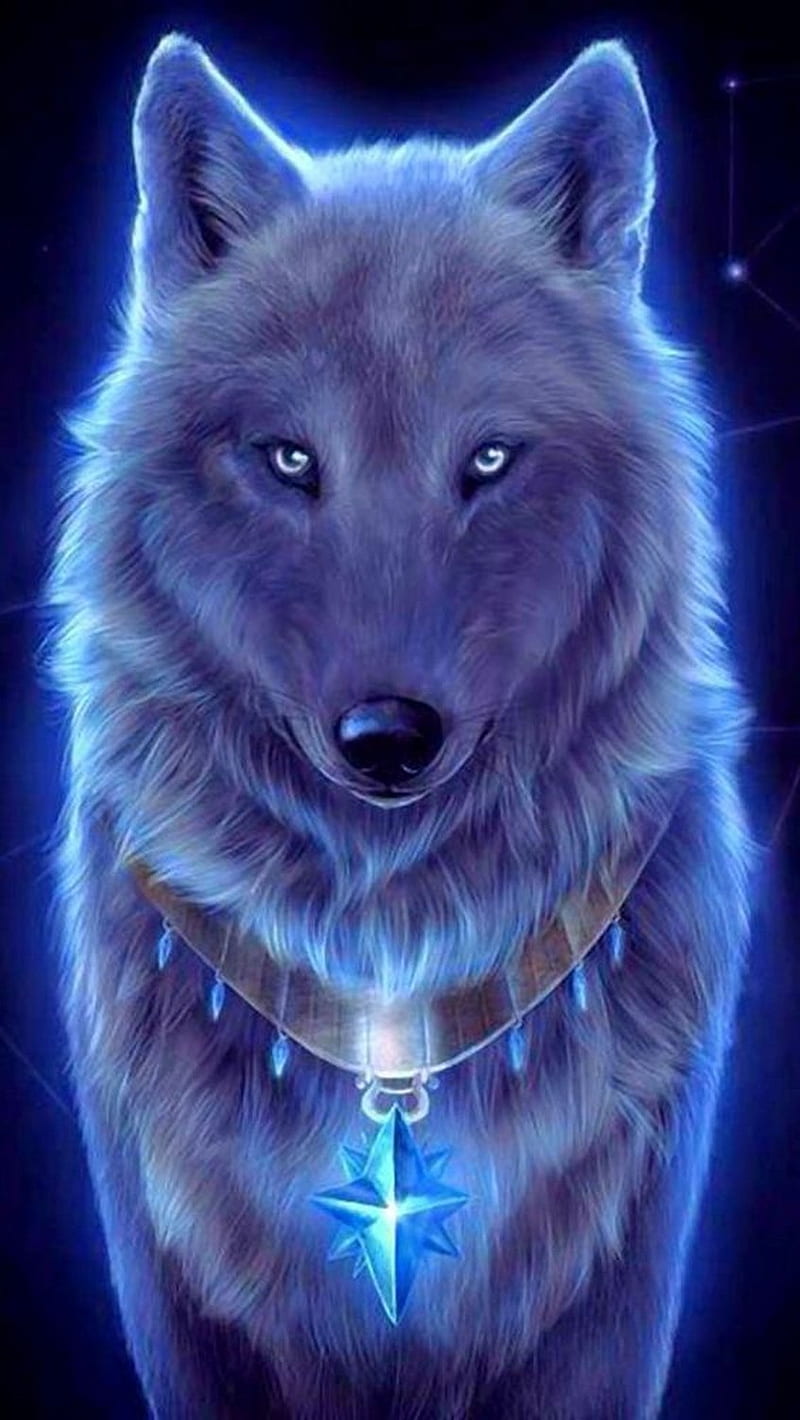 Wolf, calm, HD phone wallpaper