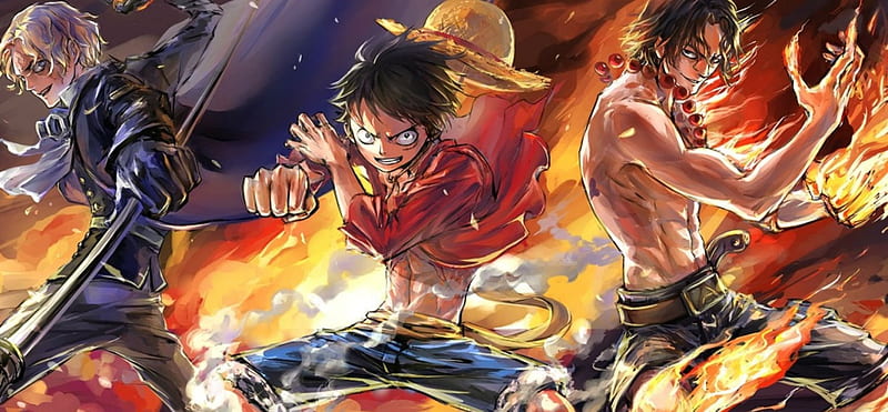 One Piece Monkey D. Luffy fist  Manga anime one piece, Monkey d