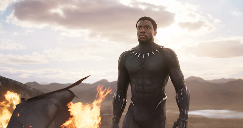 Black Panther T Challa 2018, chadwick-boseman, black-panther, 2018-movies, HD wallpaper