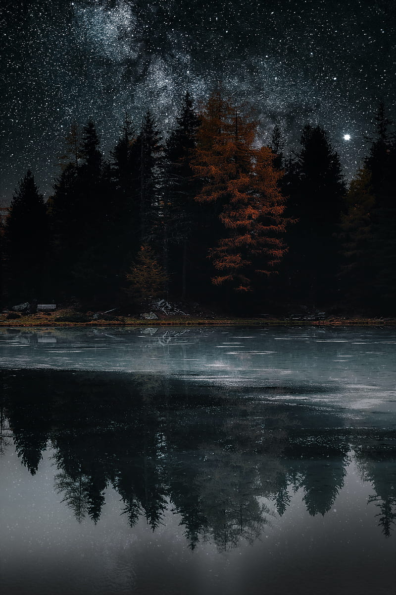 lake, trees, stars, reflection, night, dark, HD phone wallpaper