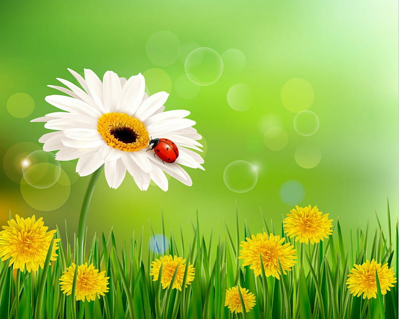 Beautiful flowers, flower, lady bug, green, grass, HD wallpaper