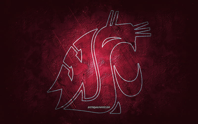 Washington State Cougars, American football team, burgundy background, Washington State Cougars logo, grunge art, NCAA, American football, Washington State Cougars emblem, HD wallpaper