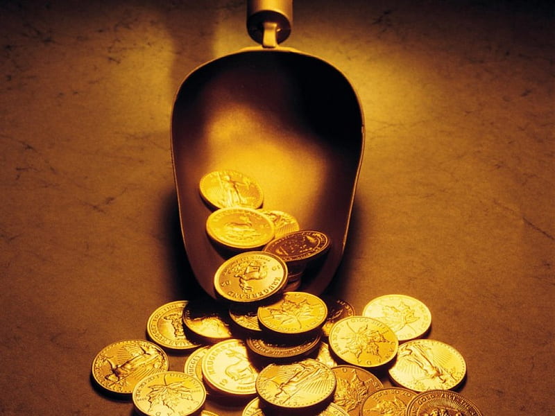 Scoopy of Gold, money, golden scoop, gold coins, HD wallpaper