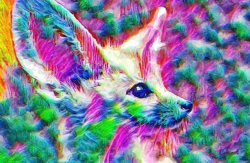 Fennec, colorful, art, yellow, by cehenot, cehenot, abstract, animal, vulpe, green, fox, painting, vulpes zerda, pictura, pink, blue, HD wallpaper