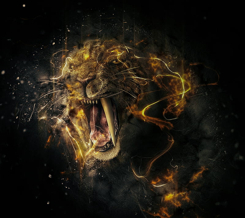 fury tiger, fire, saguaro, HD wallpaper