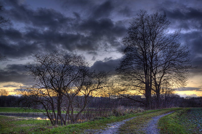 End of a Winter's Day, horizon, skyscape, path, trees, clouds, landscape, HD wallpaper