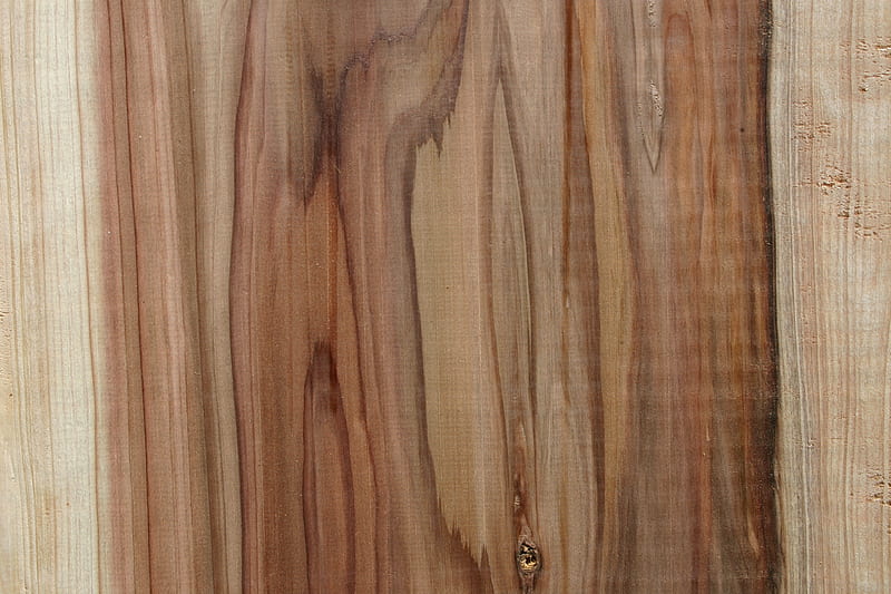 Cryptomeria japonica, Wood, Woodgrain, background, HD wallpaper