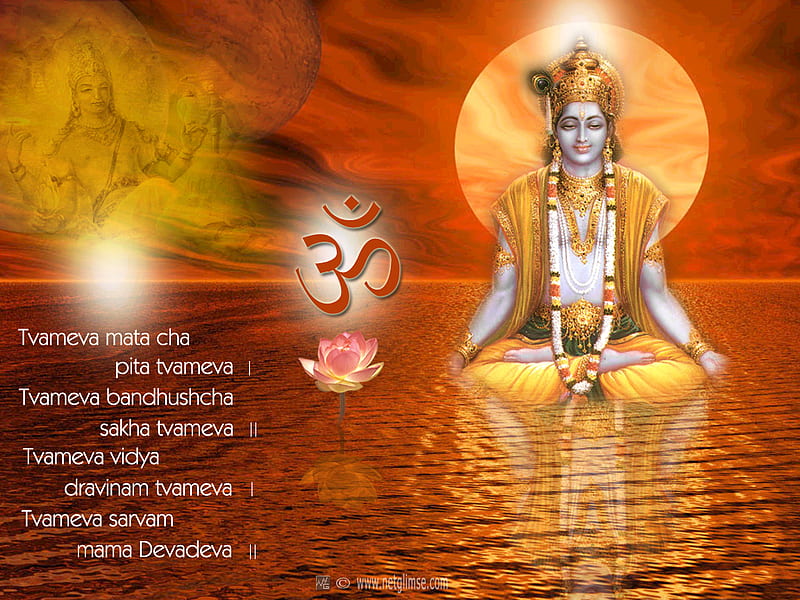 Lord Krishna, krishna, supreme, lord, vasudevaya, god, vishnu, HD wallpaper  | Peakpx