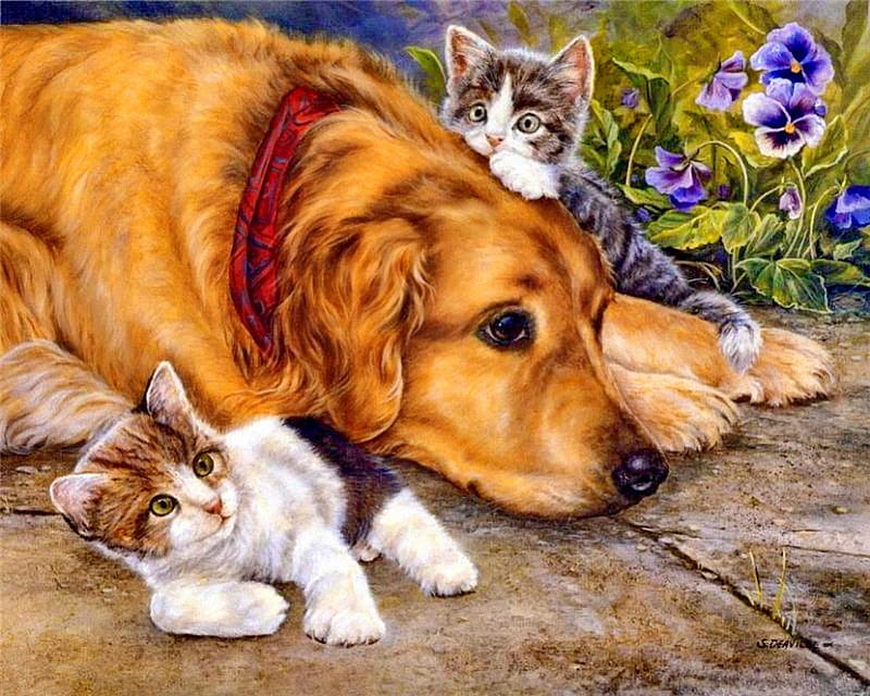 Lazy afternoon, grass, fluffy, bonito, adorable, sweet, afternoon, nice, lazy, painting, flowers, friends, dog, puppy, art, rest, lovely, kitty, relax, violets, cat, yard, cute, summer, day, garden, kitten, HD wallpaper