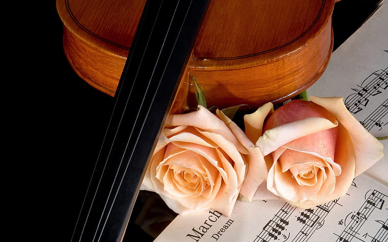 Roses, with love, pretty, rose, notes, bonito, misical, still life, graphy, instrument, love, flowers, beauty, musical notes, musical, for you, violin, romantic, romance, music, gift, nature, HD wallpaper