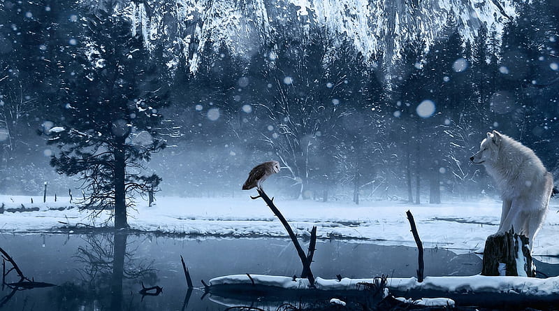 Wolf And Owl, art, fantasy, snow rendering, wolf, lake, winter, HD wallpaper