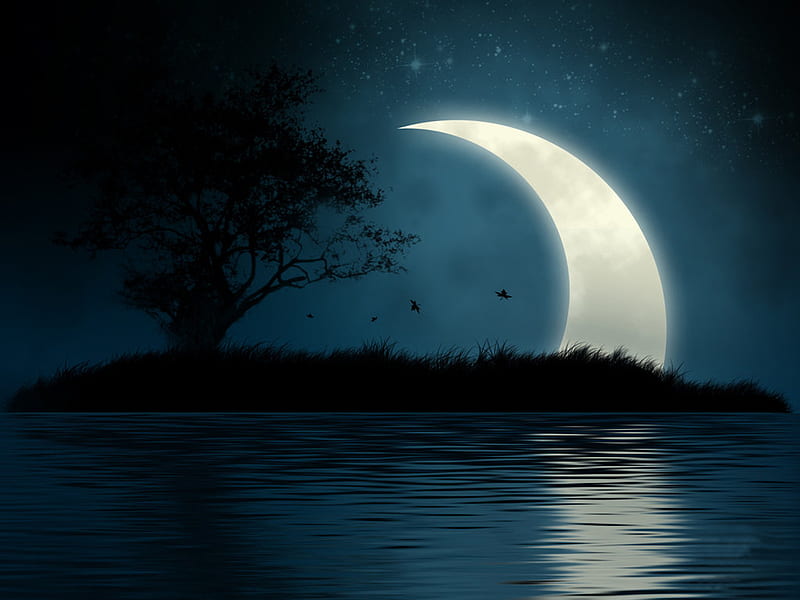 Mystic Moon, moon, dark, shining, black and white, scary, black, river, island, HD wallpaper