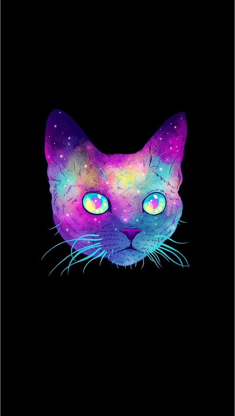 Galaxy Cat, HD phone wallpaper