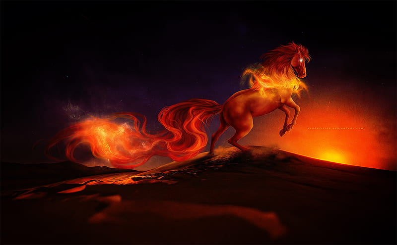 Horse Burning Digital Art, horse, artist, artwork, digital-art, HD wallpaper