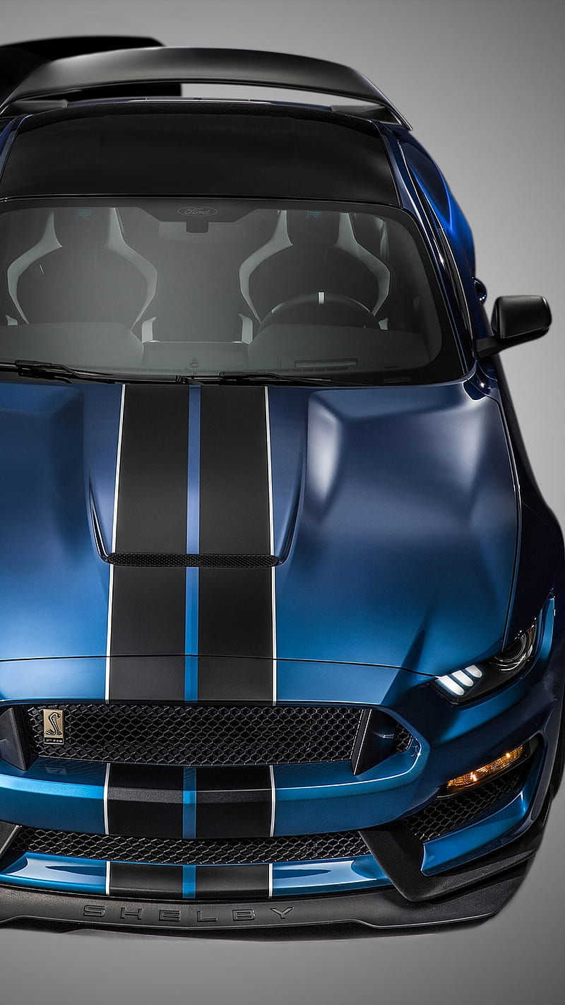 Shelby GT350R, auto, car, ford, mustang, shelby, stang, HD phone wallpaper  | Peakpx
